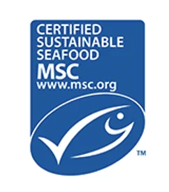 MSC