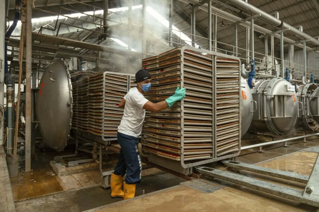 Industrial tuna cooking lines at a plant in Manta, Ecuador
